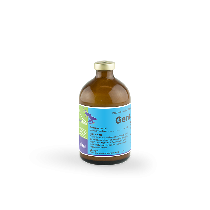 GENTA-100  100MLS