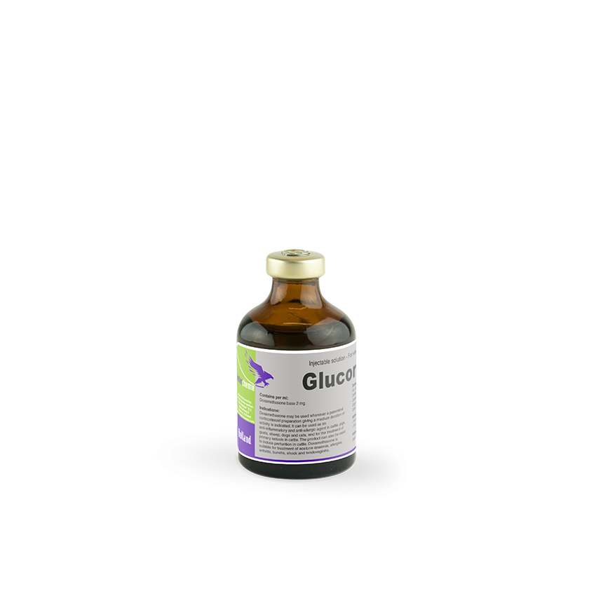 GLUCORTIN-20  50MLS