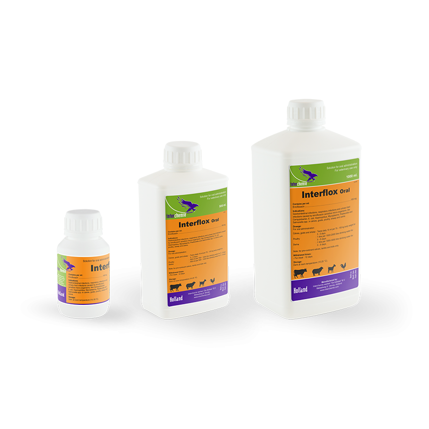 INTERFLOX ORAL  100MLS