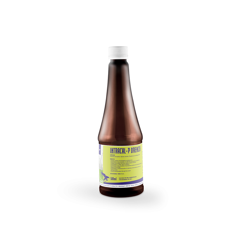 INTRACAL P DRENCH  500MLS