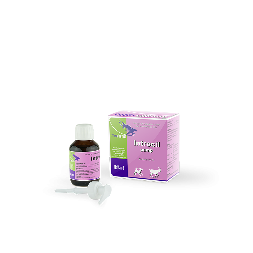 INTROCIL PUMP  100MLS