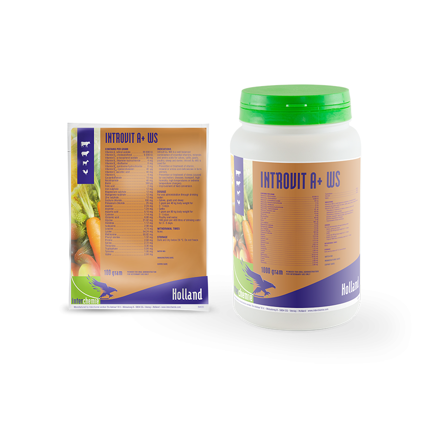 INTROVIT A+ WS  1KG
