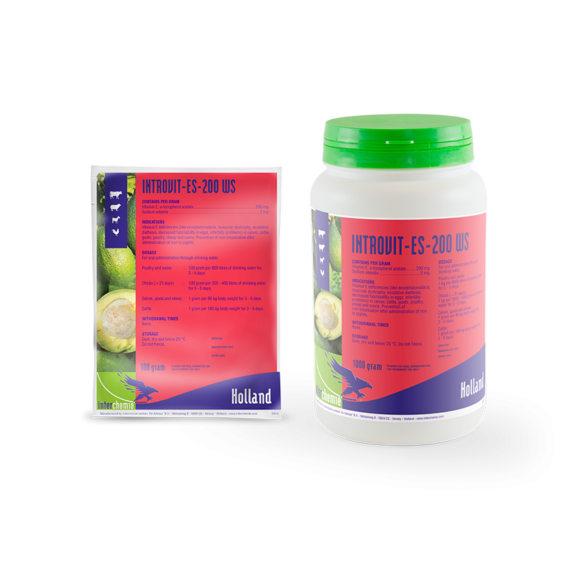 INTROVIT ES WS 200  100g