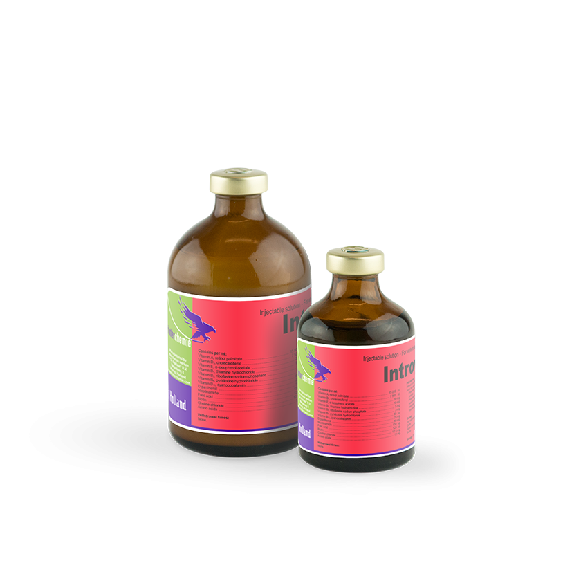 INTROVIT MULTIVIT  100MLS