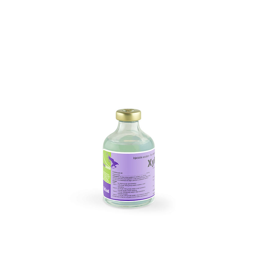 XYLAZINE  50MLS