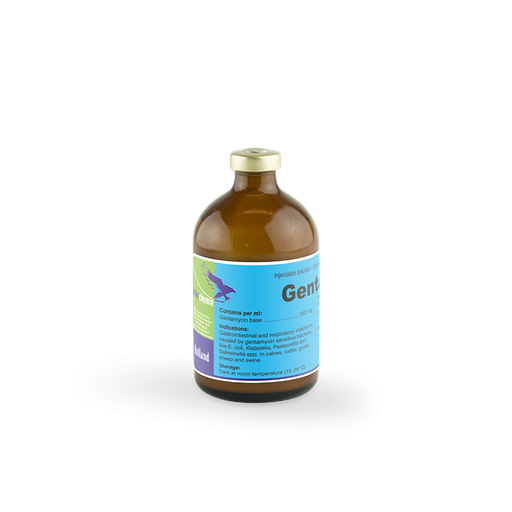 GENTA-100  100MLS