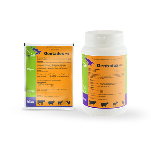 GENTADOX WS  100G