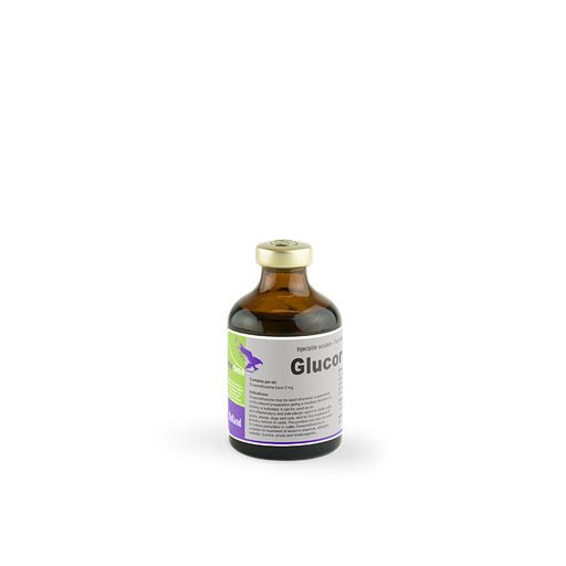 GLUCORTIN-20  50MLS