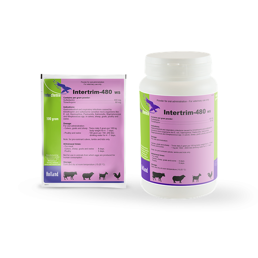 INTERTRIM-480 WS  100G