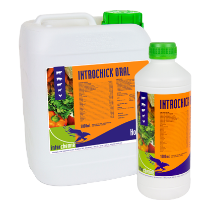 INTROCHICK ORAL  100MLS