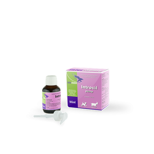 INTROCIL PUMP  100MLS