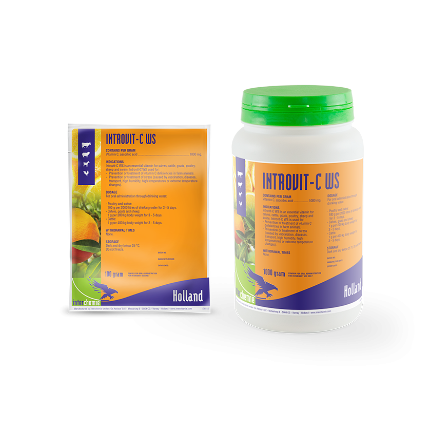 INTROVIT C WS 100G