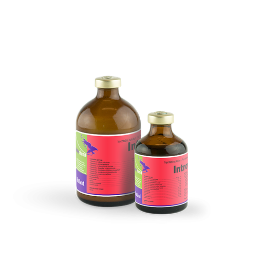 INTROVIT MULTIVIT  100MLS